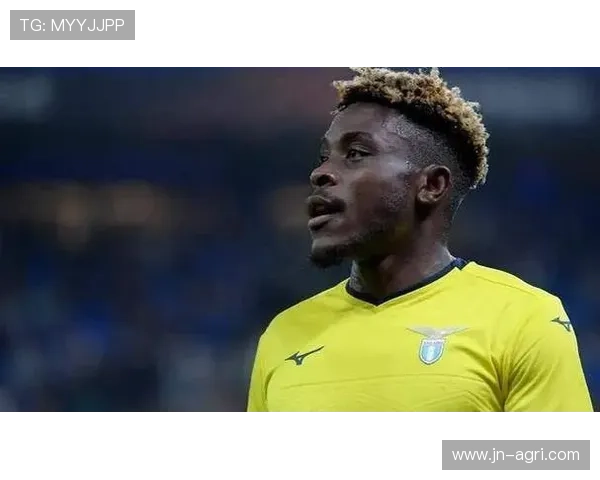 德勒巴希鲁巴希奇竞争萨里两难